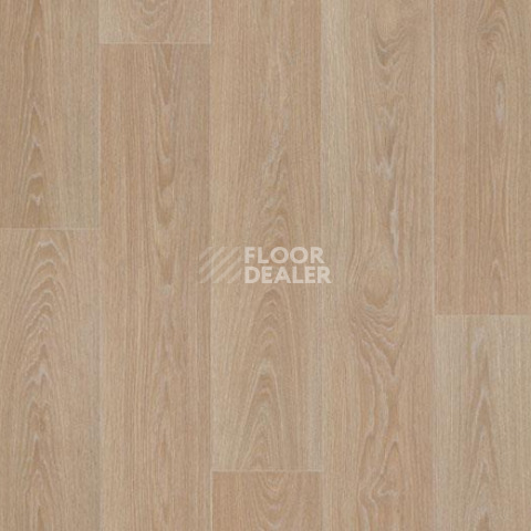Линолеум Forbo Eternal Wood 13802 blond timber фото 1 | FLOORDEALER